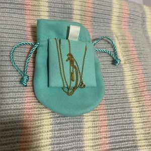 Authentic Tiffany and Co. small yellow gold chain